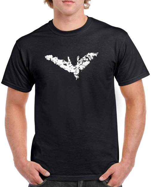 T-shirt BATMAN
