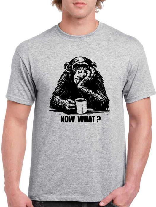 T-shirt singe monkey now what ?