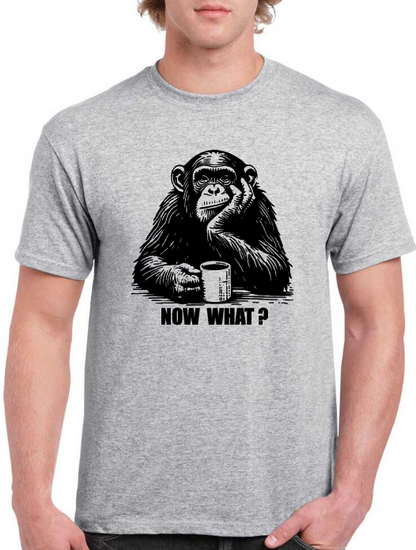 T-shirt singe monkey now what ?