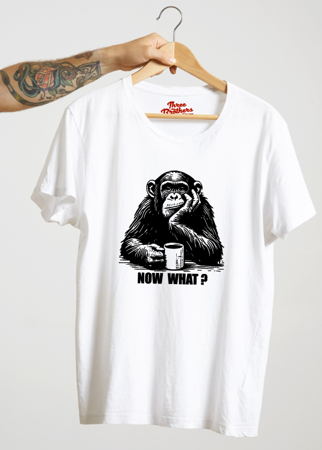 T-shirt singe monkey now what ?