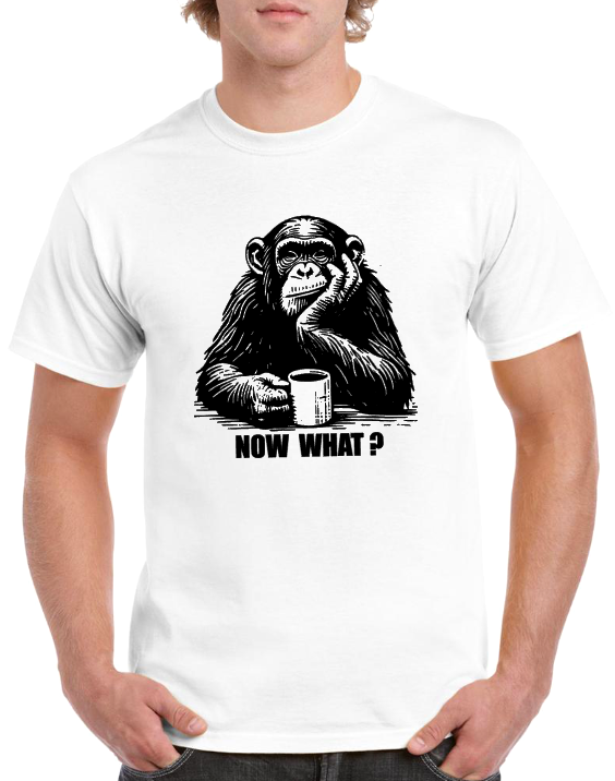 T-shirt singe monkey now what ?